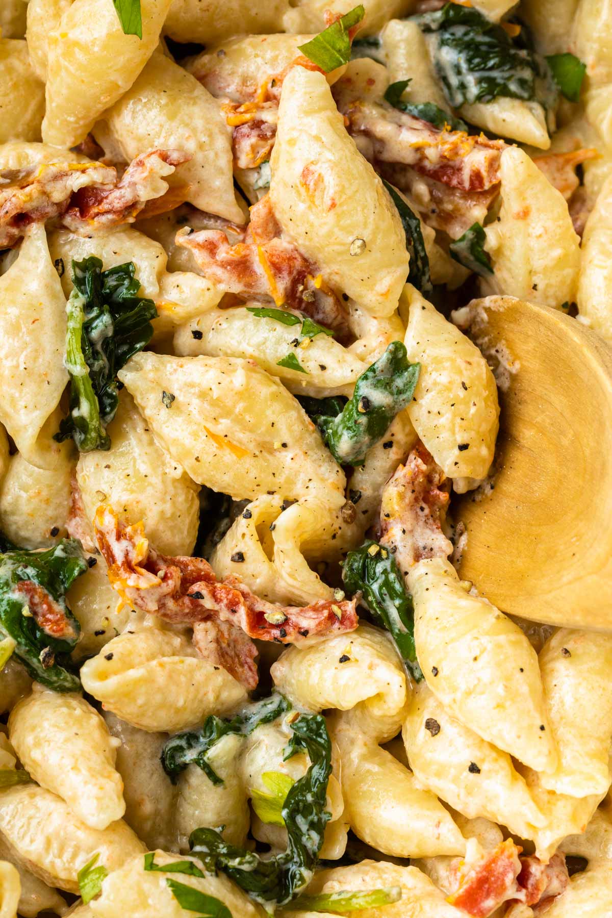 Close up of shell pasta with sundried tomatoes and kale being stirred by a wooden spoon. 