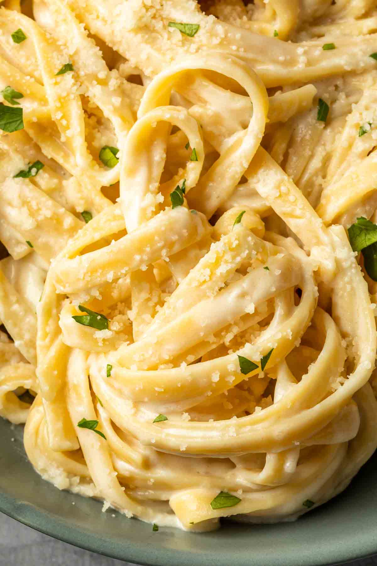 Close up of fettuccine with alfredo sauce with half and half.