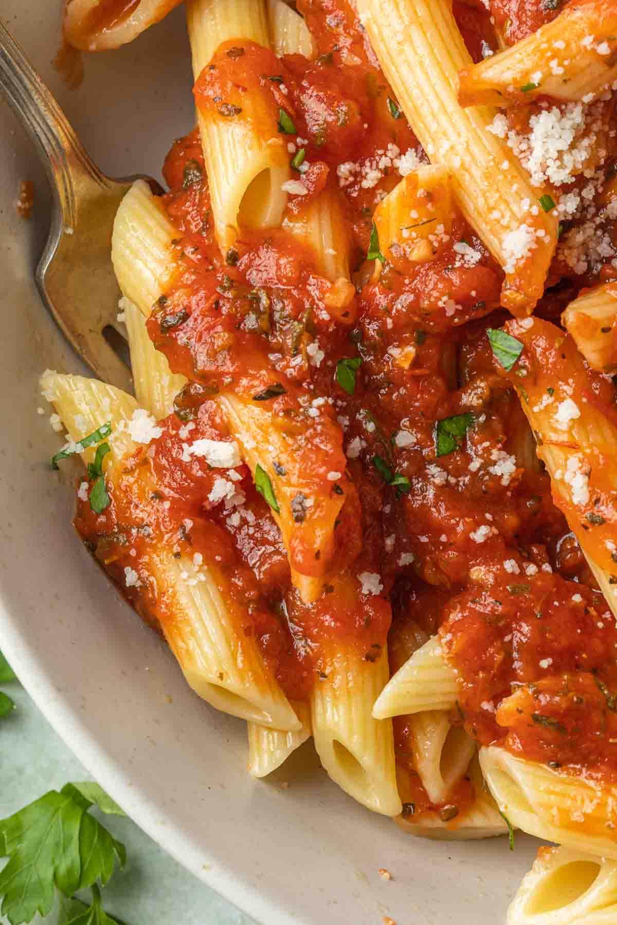 Close up of penne pasta in a bowl.