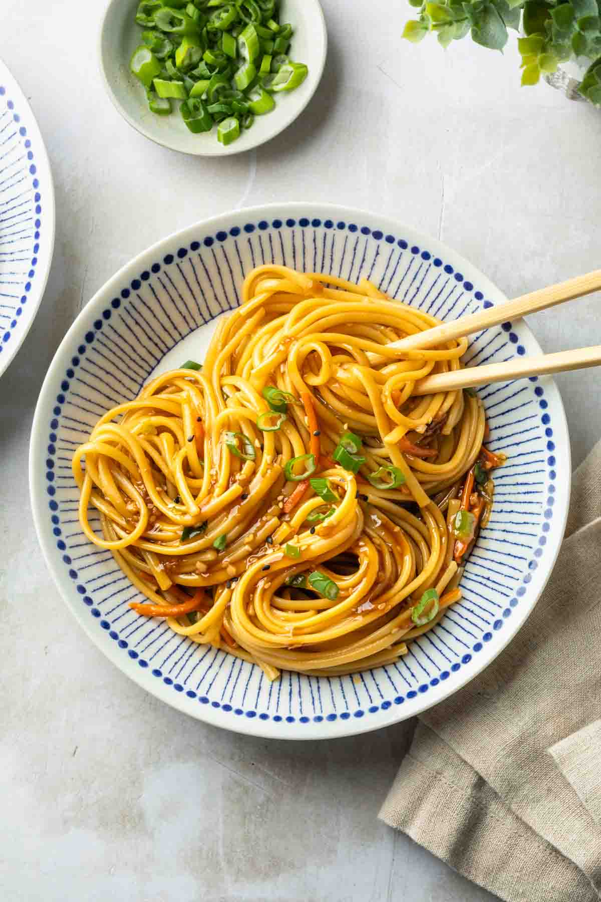 These teriyaki noodles are coated in a savory, honey teriyaki sauce and stir fried with sweet, tender carrots and aromatic green onions for a simple and satisfying noodle fix.      
