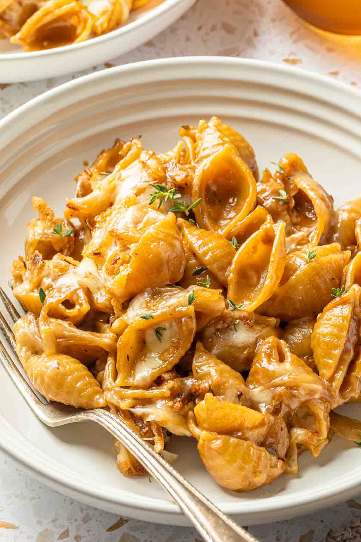 Close up of shell pasta with caramelized onion, creamy cheese and crunchy onion bits. 