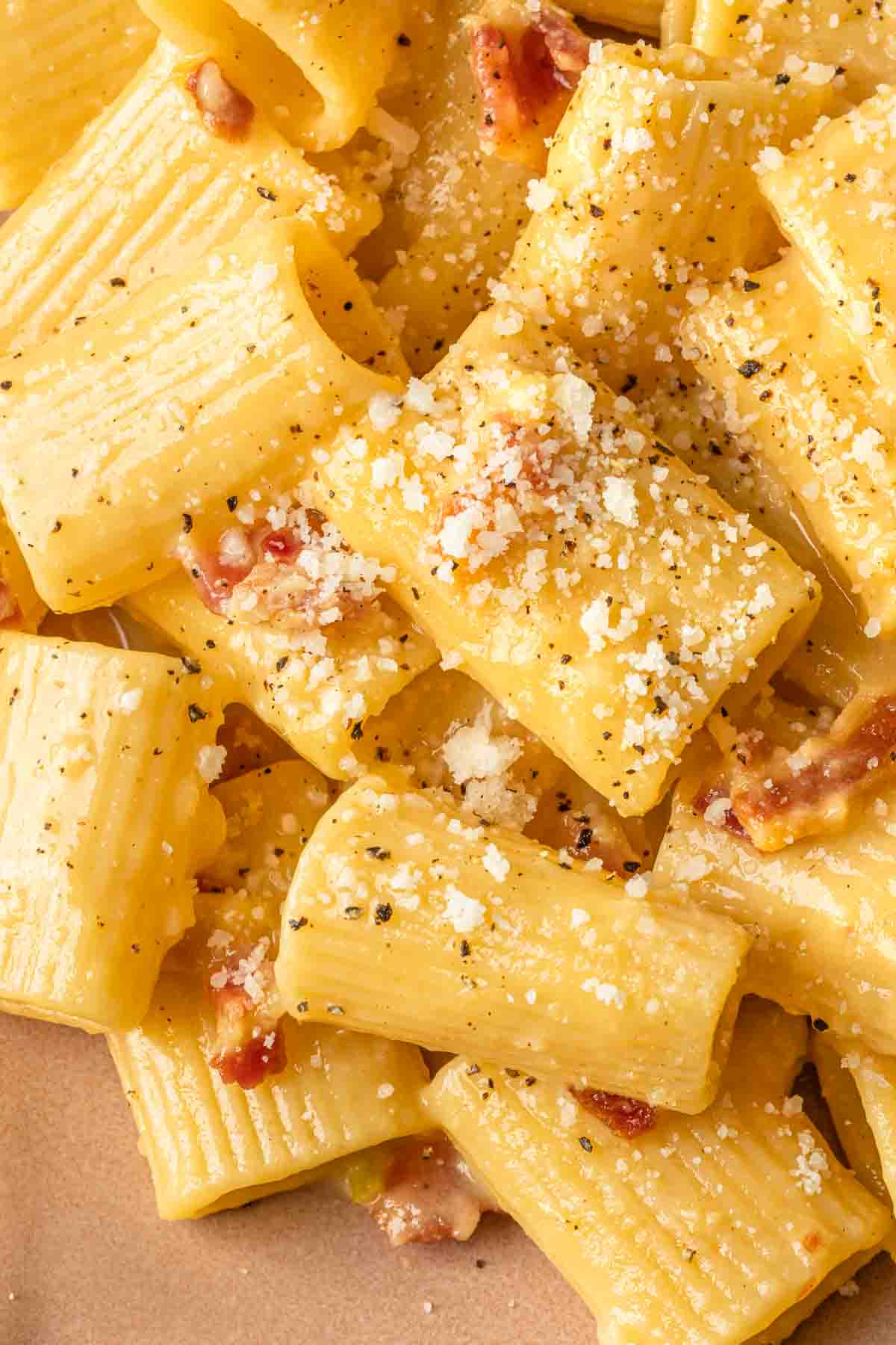 Close up of pasta with a creamy bacon sauce. 