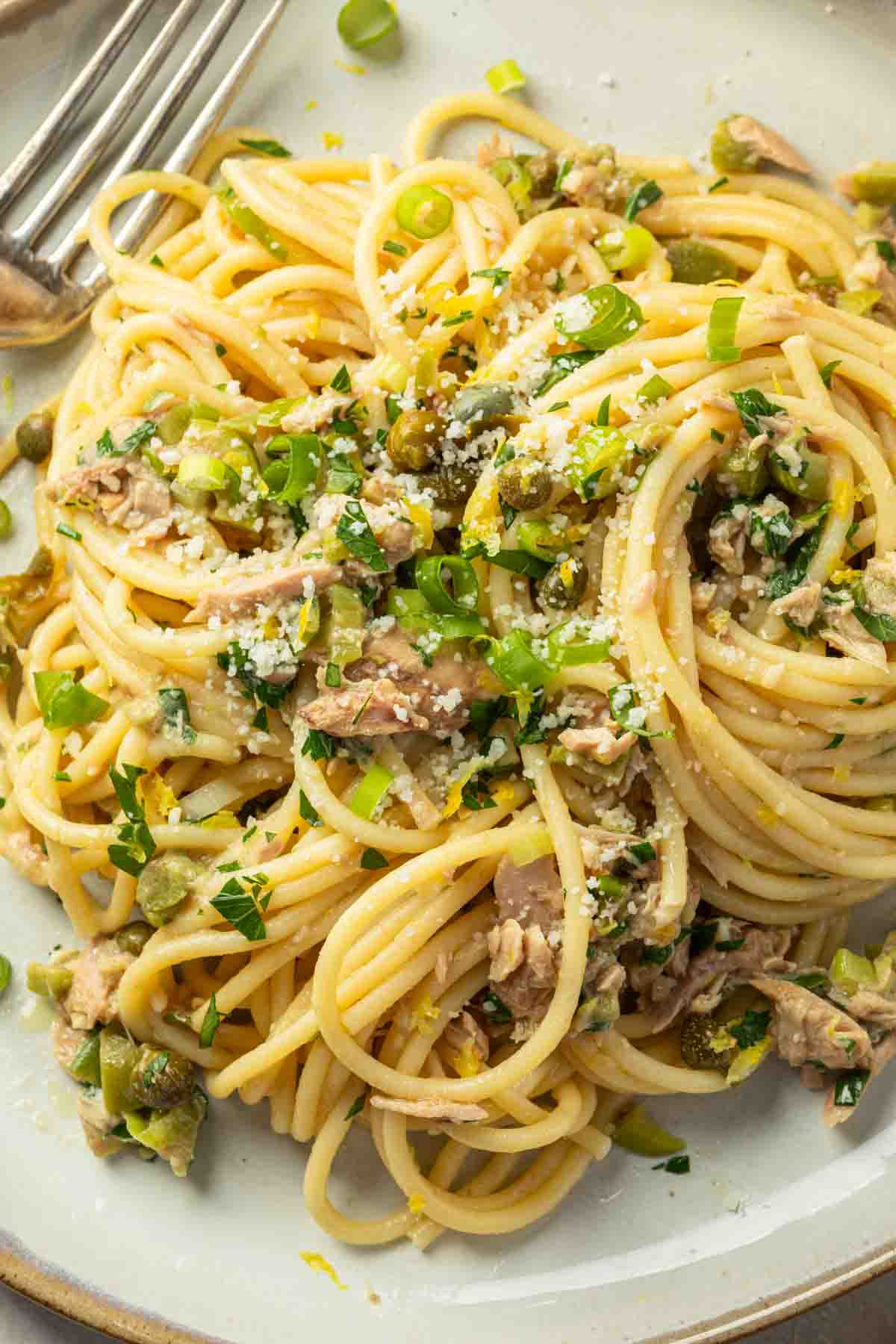Close up of spaghetti on a plate with tuna, green onions and olives, capers and lemon zest. 
